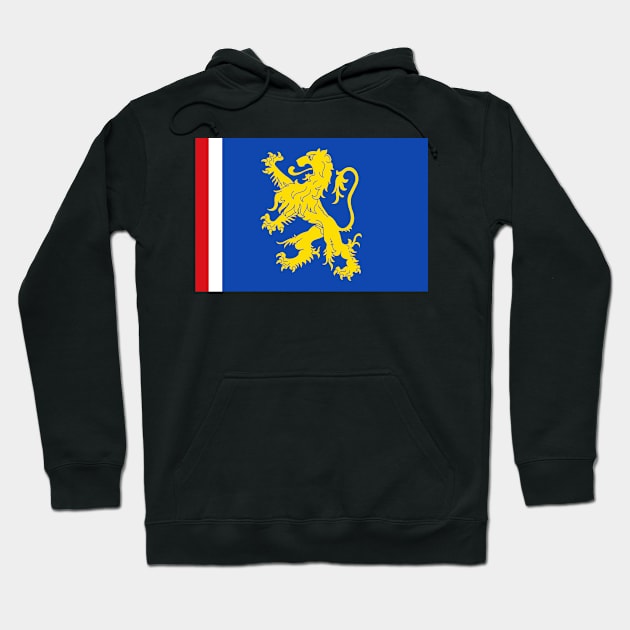 Flag of Leeuwarden, the capital of the province of Friesland (Netherlands / Dutch) Hoodie by Ziggy's